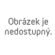 Masturbátor pro muže Pipedream Dirty Talk Interactive Fuck Me Silly